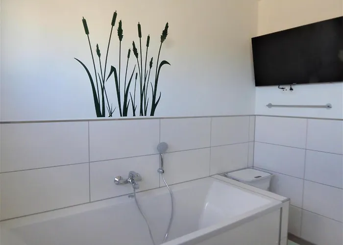 Sterntaucher * Olpenitz