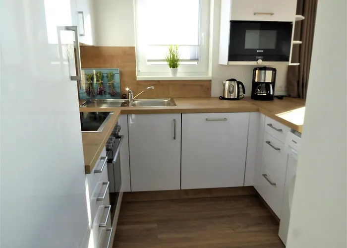 Sterntaucher Olpenitz