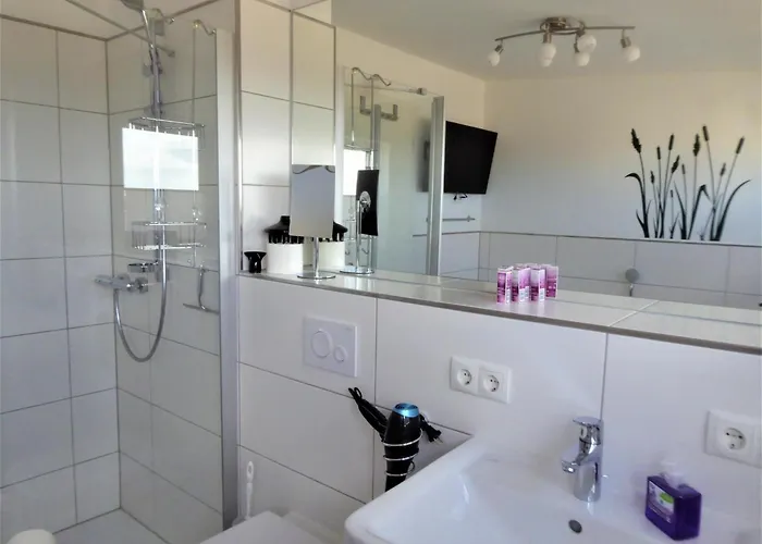 Sterntaucher * Olpenitz